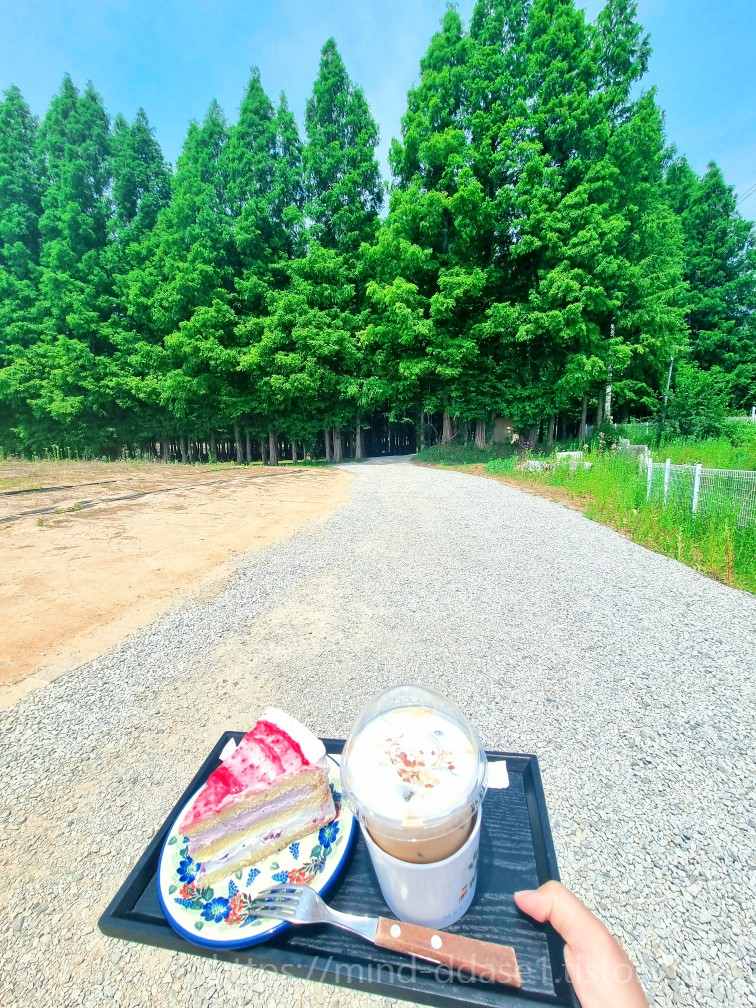 인천 카페 추천, 강화 메타포레스트: 숲 속 캠핑 감성, 가는 길 주의사항, 주차장