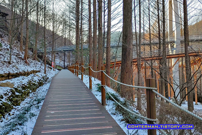 장태산 자연휴양림 출렁다리 산책로