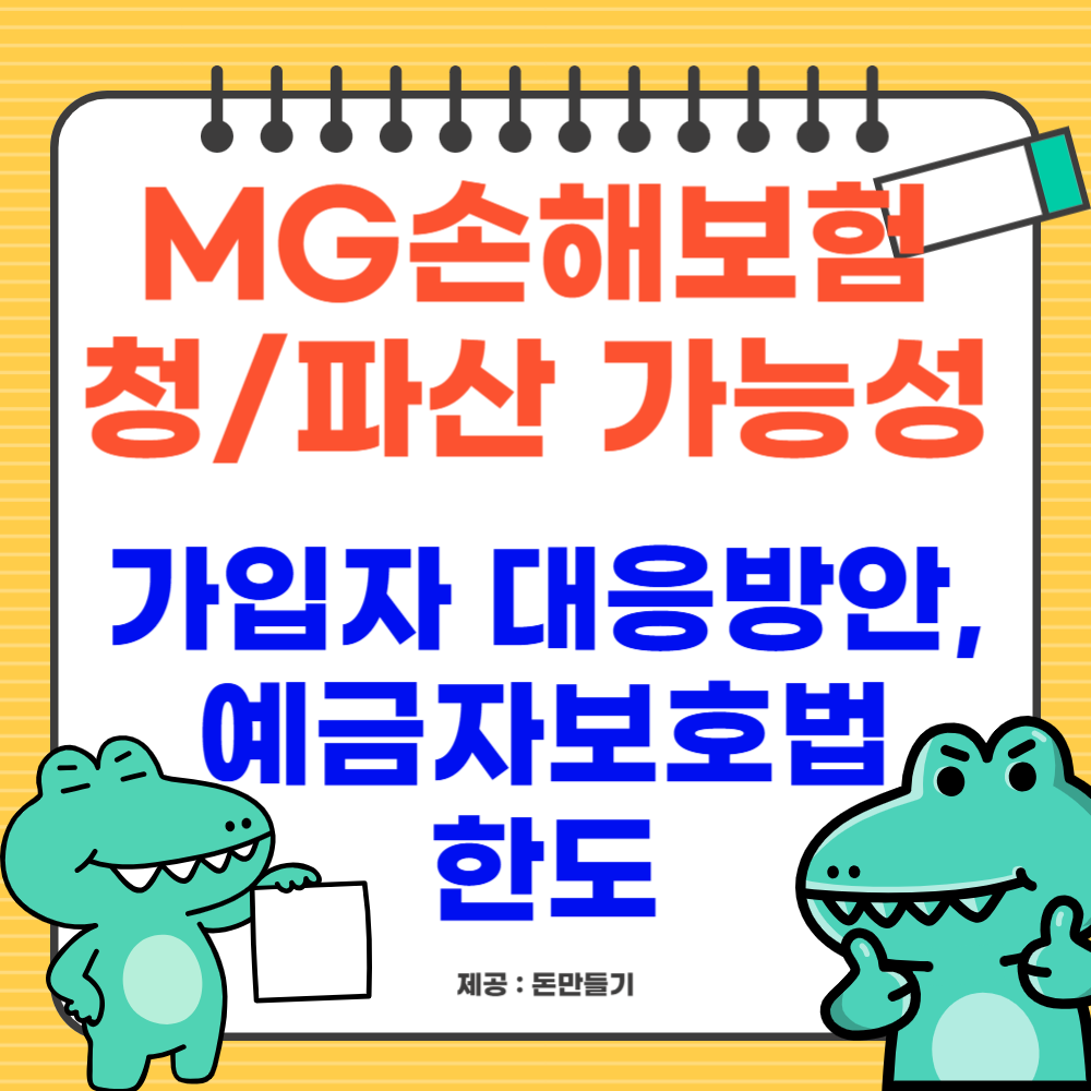 MG손해보험 파산 가능성, 대응방안