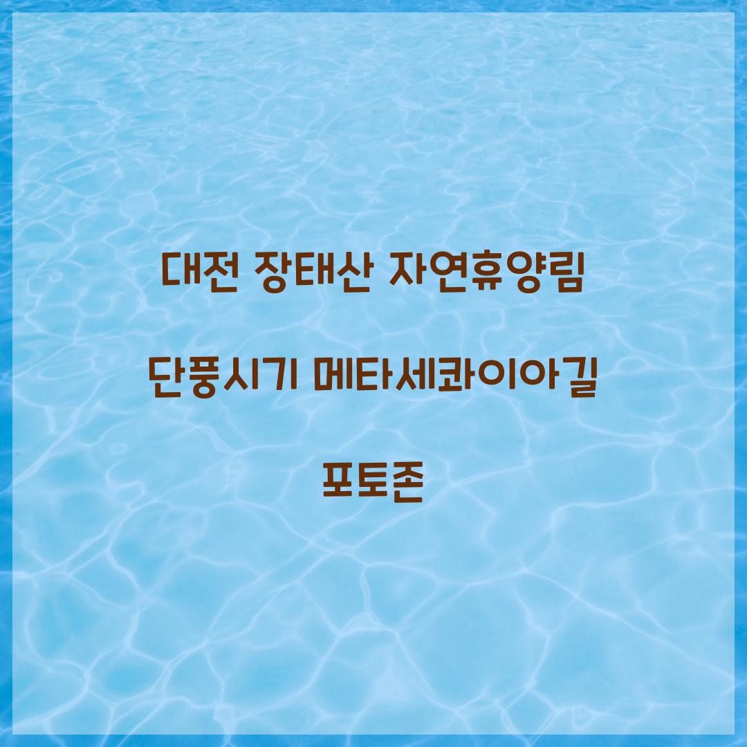 대전 장태산 자연휴양림 단풍시기