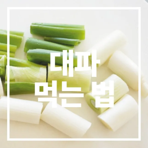 대파 먹는법