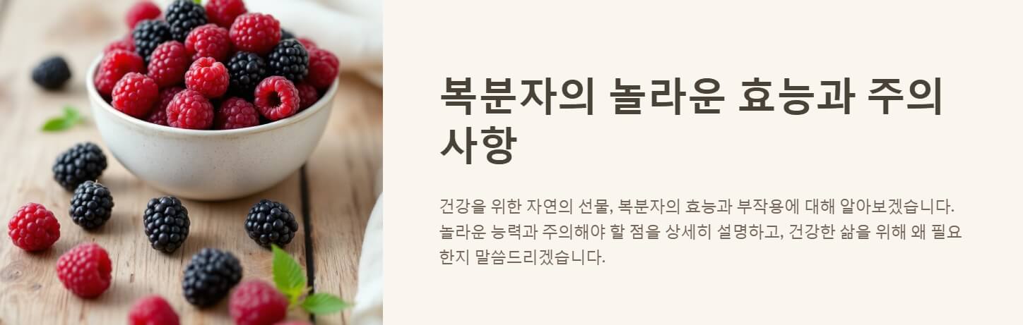 복분자 효능 부작용