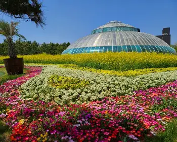 태안 튤립축제_7