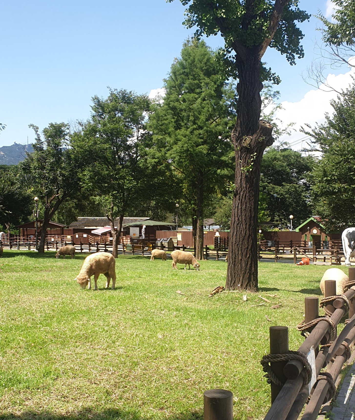 서울대공원 어린이동물원