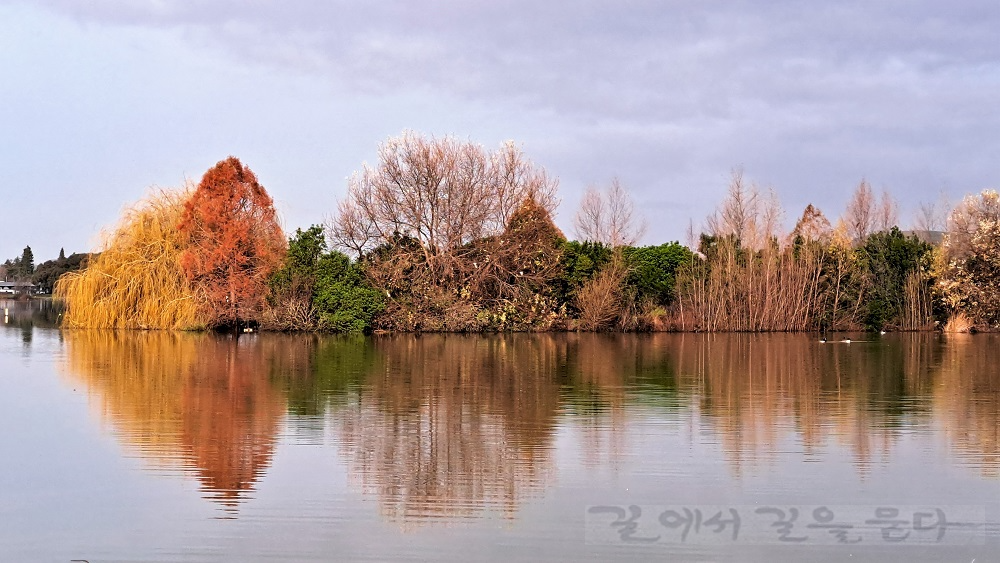 Central Park
