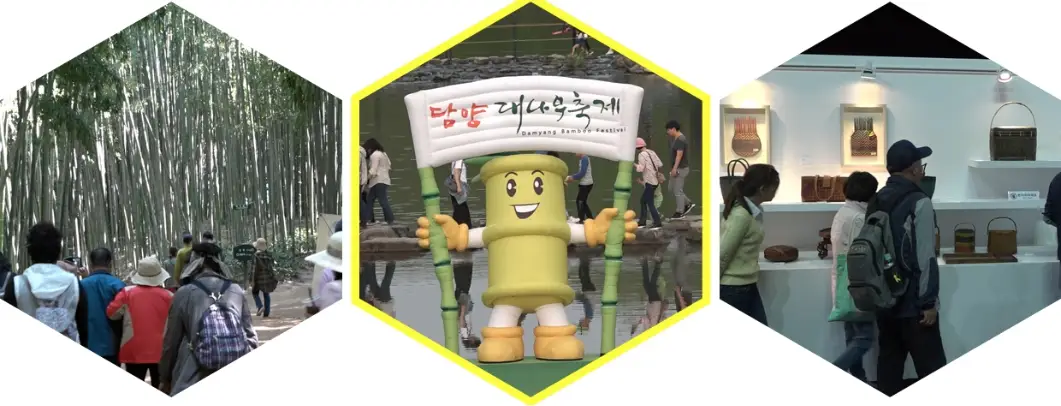 담양 대나무축제 주차장, 프로그램