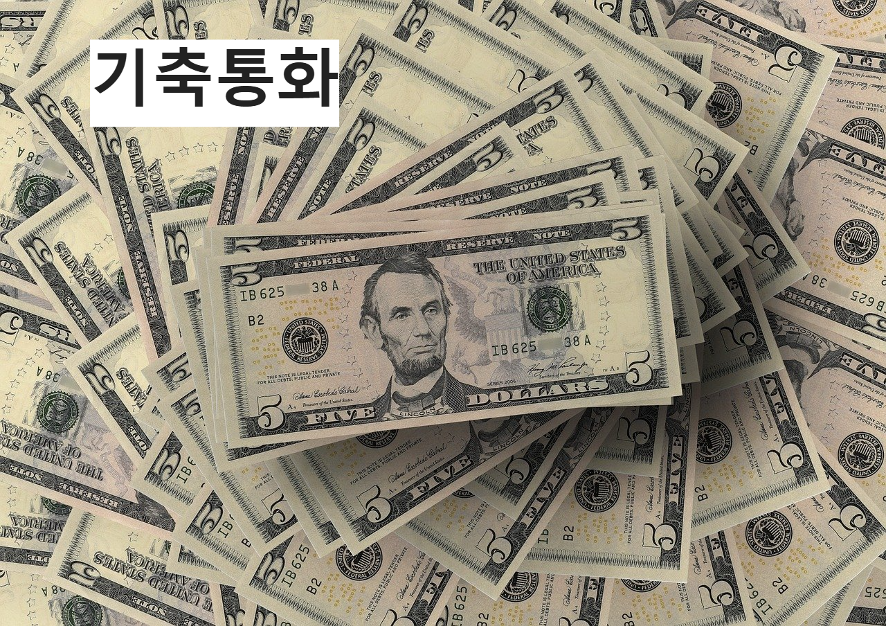 기축통화