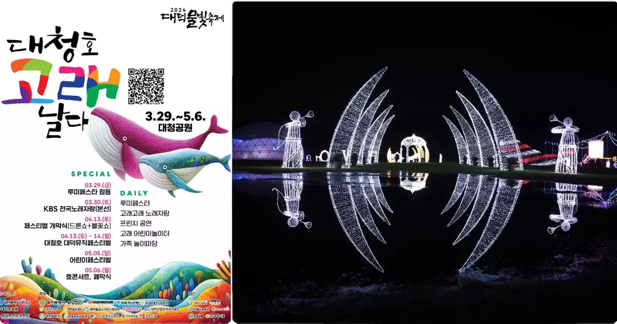 빛축제 대덕물빛축제