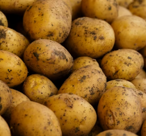 과민성 대장증후군에 좋은 음식 영양제 식단