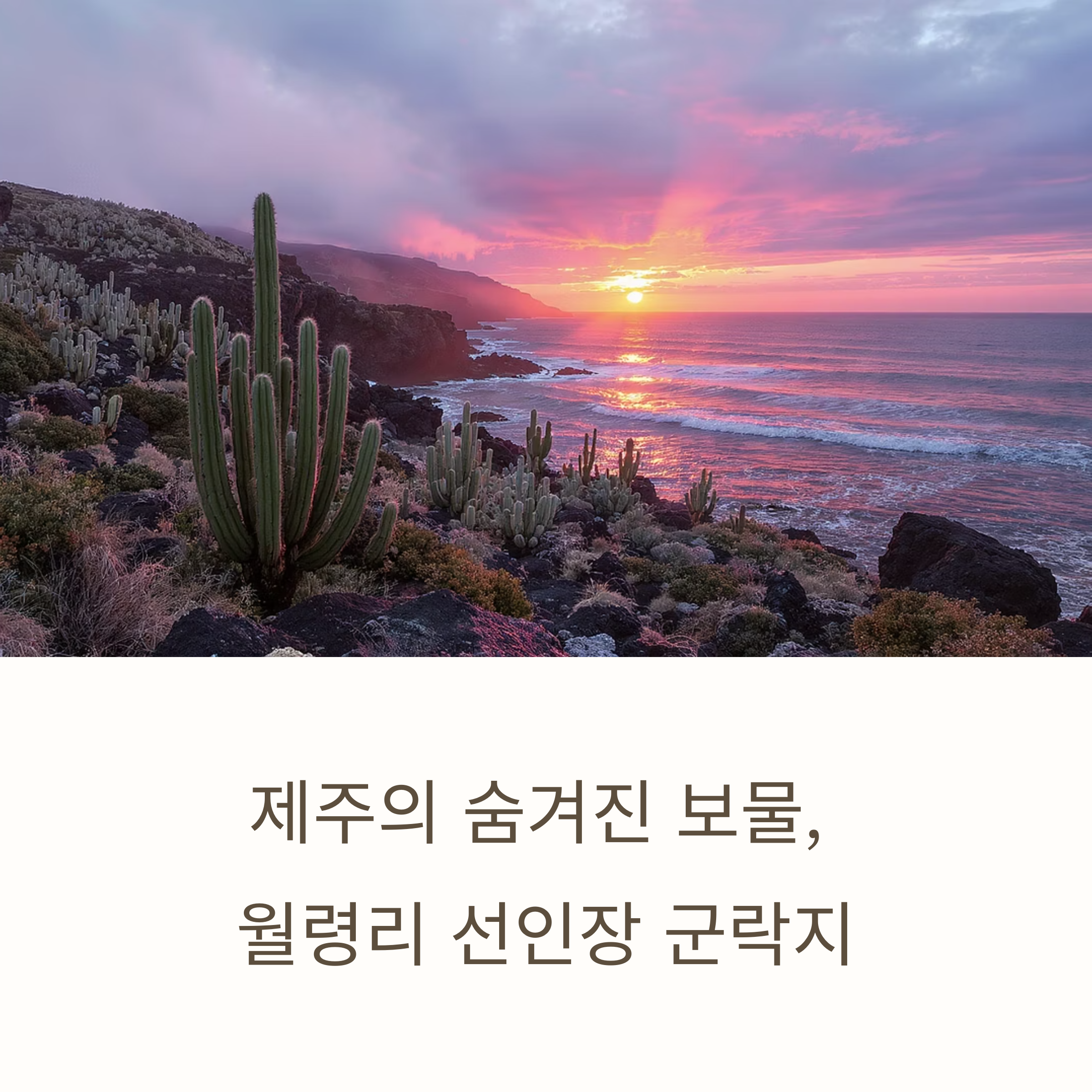 월령리 선인장 군락지 여행