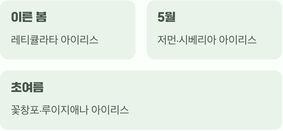 붓꽃의 다채로운 얼굴들