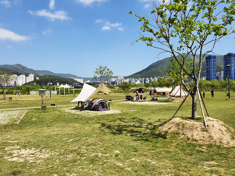 부산 대저생태공원 대저캠핑장 소개