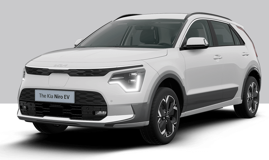 스노우 화이트 펄(색상 코드 : SWP)