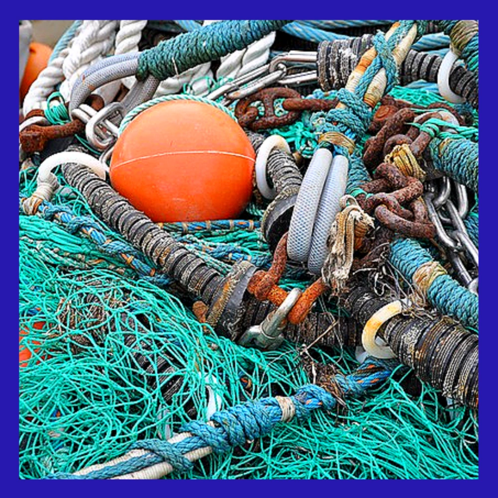 서귀포-어선-전복