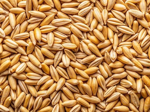 귀리 위 속에서 젤 형태로 변함