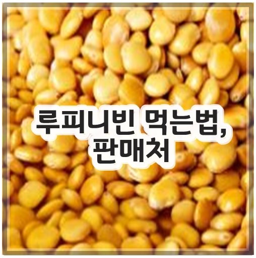 루피니빈 먹는법, 판매처