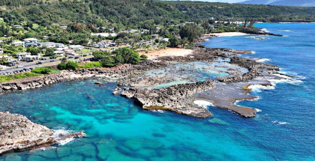 Shark’s Cove – 샤크스 코브