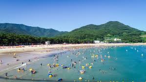  2024 전국 해수욕장 개장일 정리와 특징 - 남해