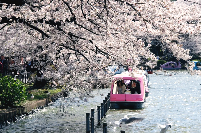 ์ผ๋ณธ ๋ฒ๊ฝ ๋ช
์