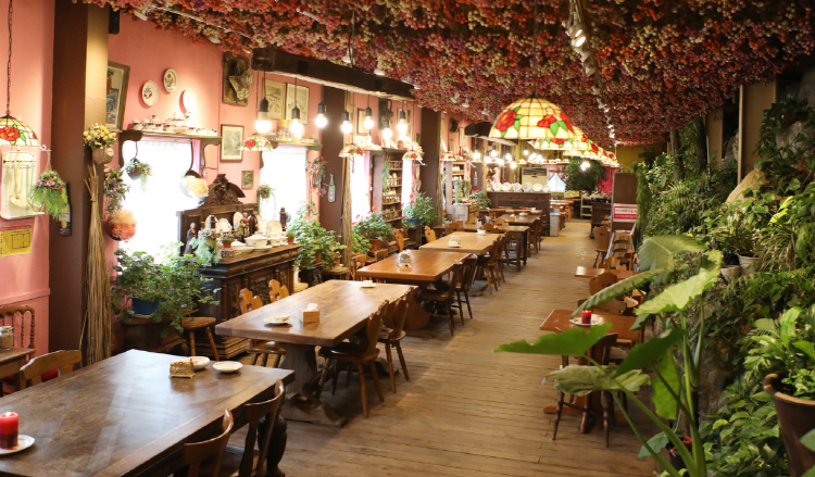 포천 허브아일랜드