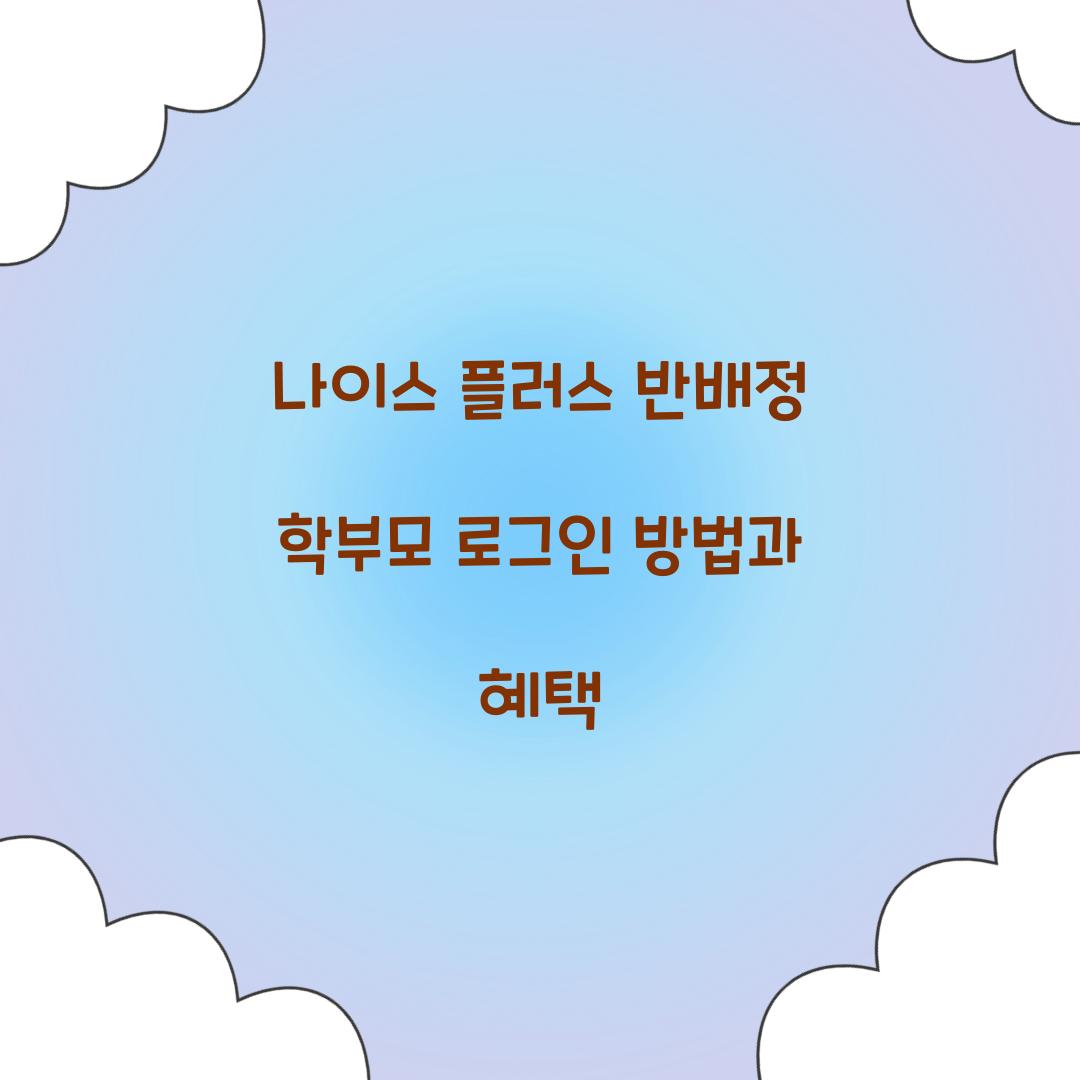 나이스 플러스 반배정