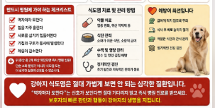 강아지 식도염 방치하면 생기는 일 (충격 결과,식도협착,흡인성폐렴,영양실조와탈수)