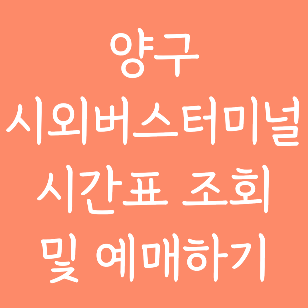 양구 시외버스터미널 시간표조회 및 예매하기