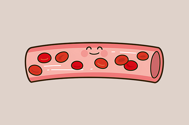 혈관-건강-개선