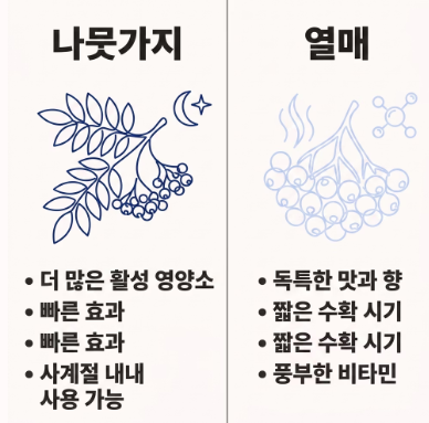 마가목 효능