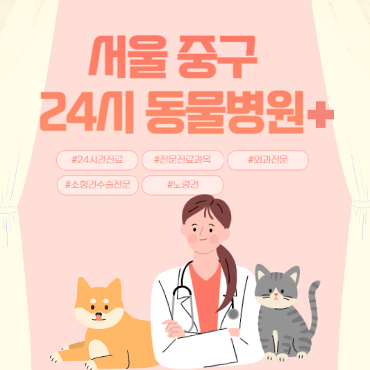 서울 중구 24시 동물병원