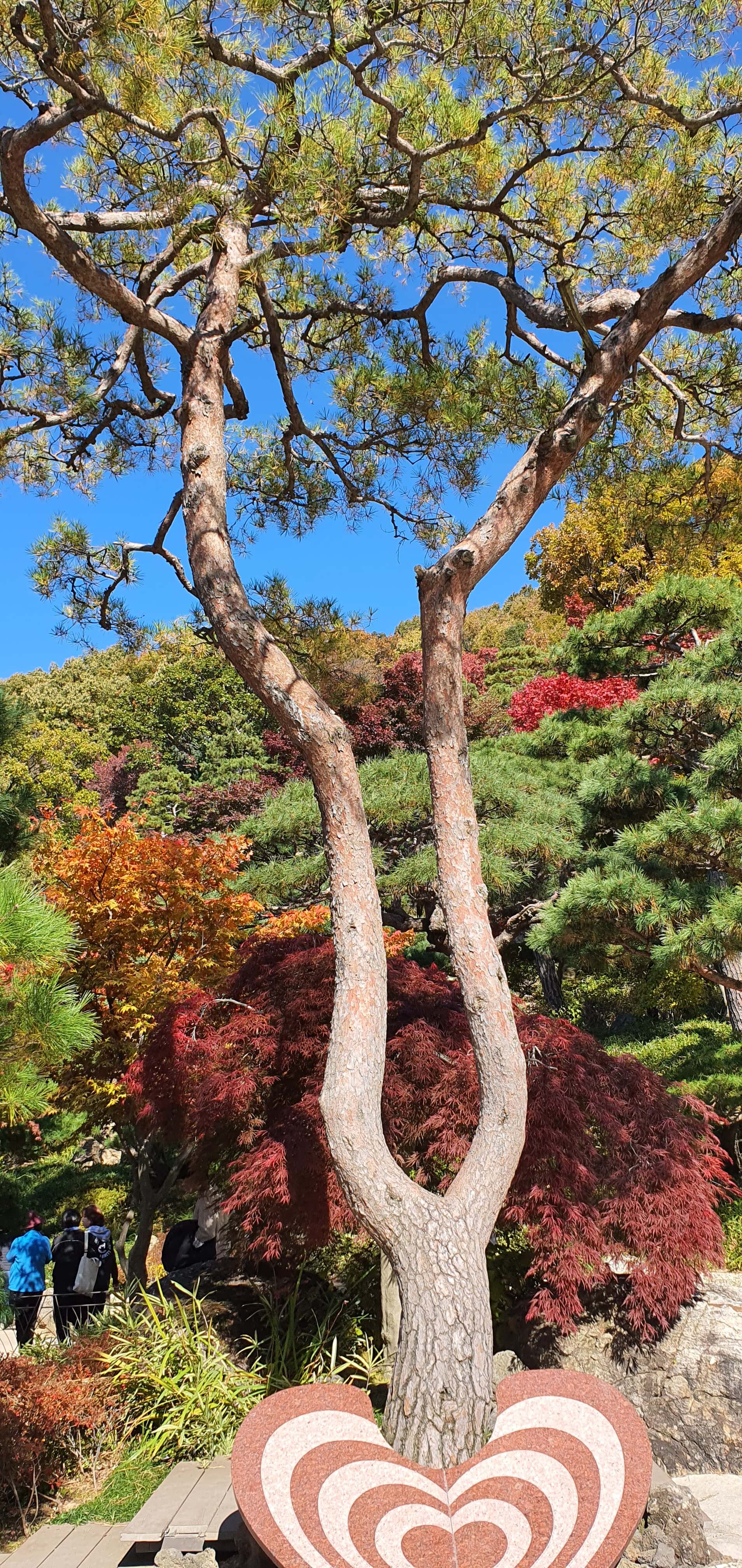 화담슾 