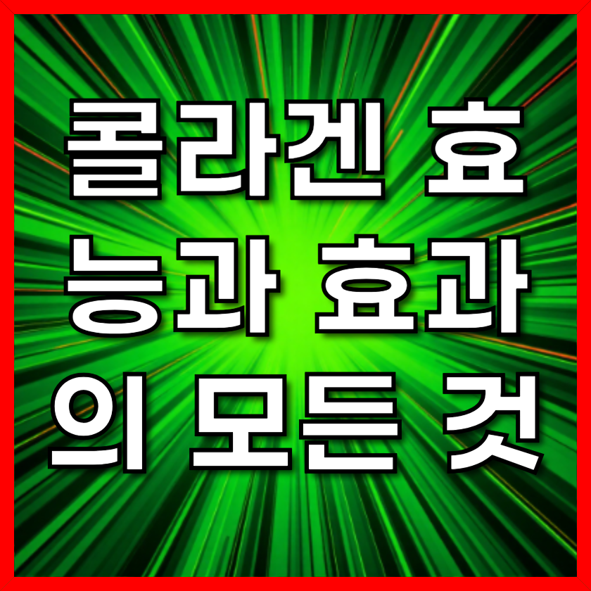 콜라겐 효능과 효과의 모든 것