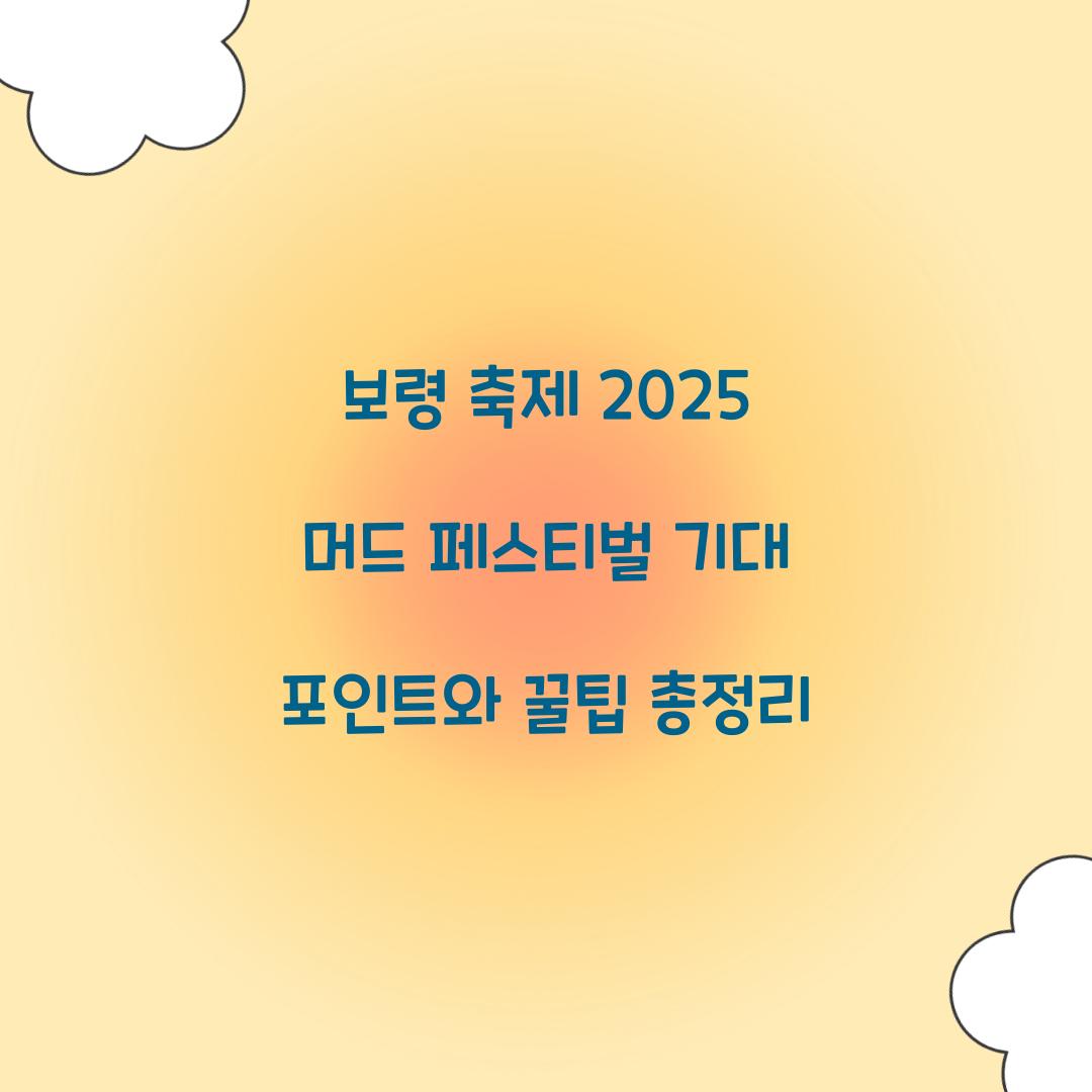 보령 축제 2025 머드 페스티벌