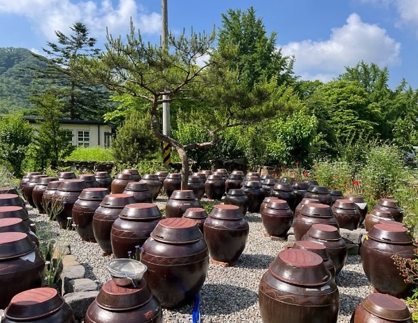 진안-차정단-천연발효식초