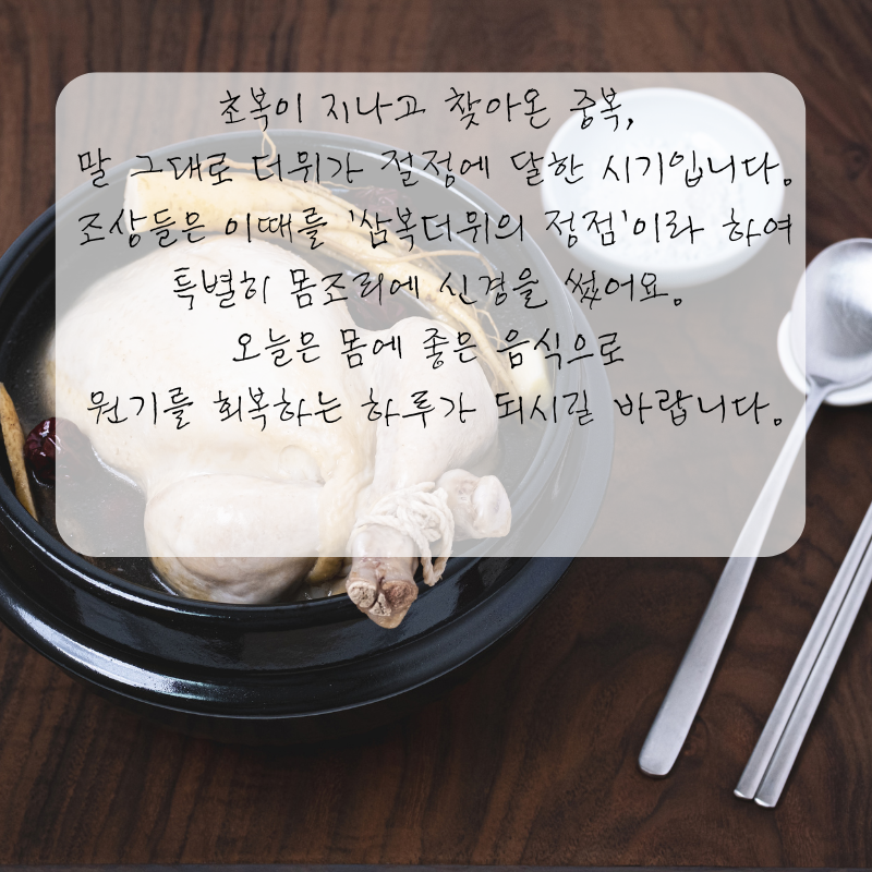 복날 인사말 중복날 문구 이미지