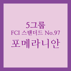 포메라니안_썸네일