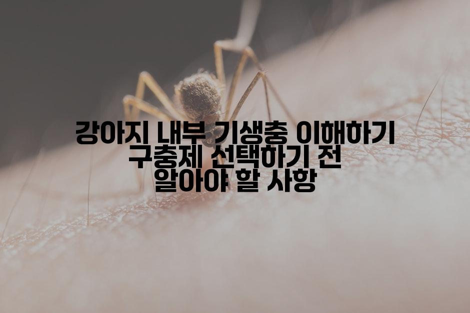 강아지 내부 기생충 이해하기 구충제 선택하기 전 알아야 할 사항