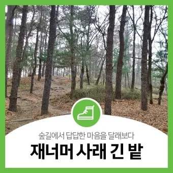 사래가 잘 걸리는 이유 사래 걸렸을때 대처법_21