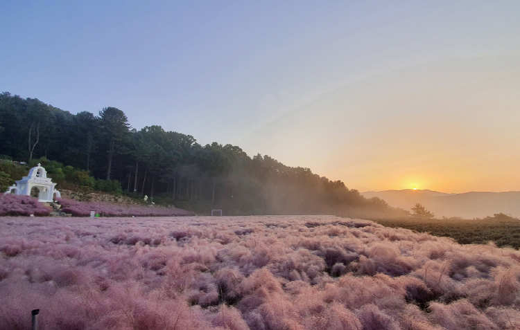포천 허브아일랜드