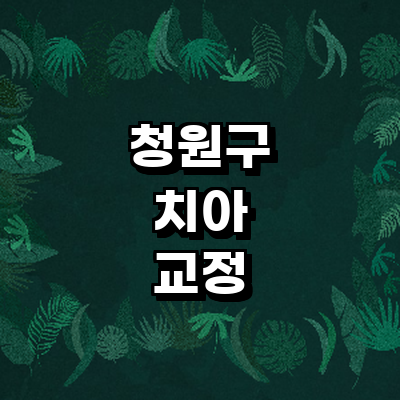 청주 청원구 교정 치과