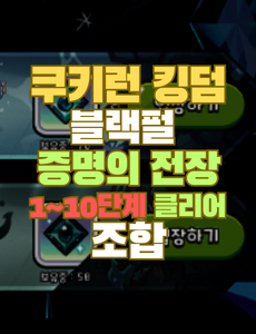 블랙펄 증명의 전장