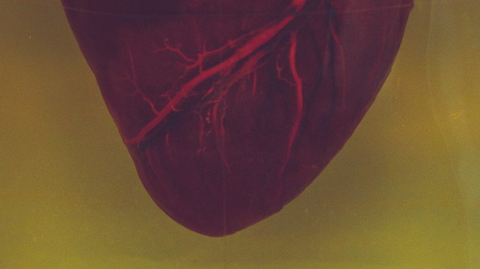 The dangers of smoking and the benefits of quitting 3