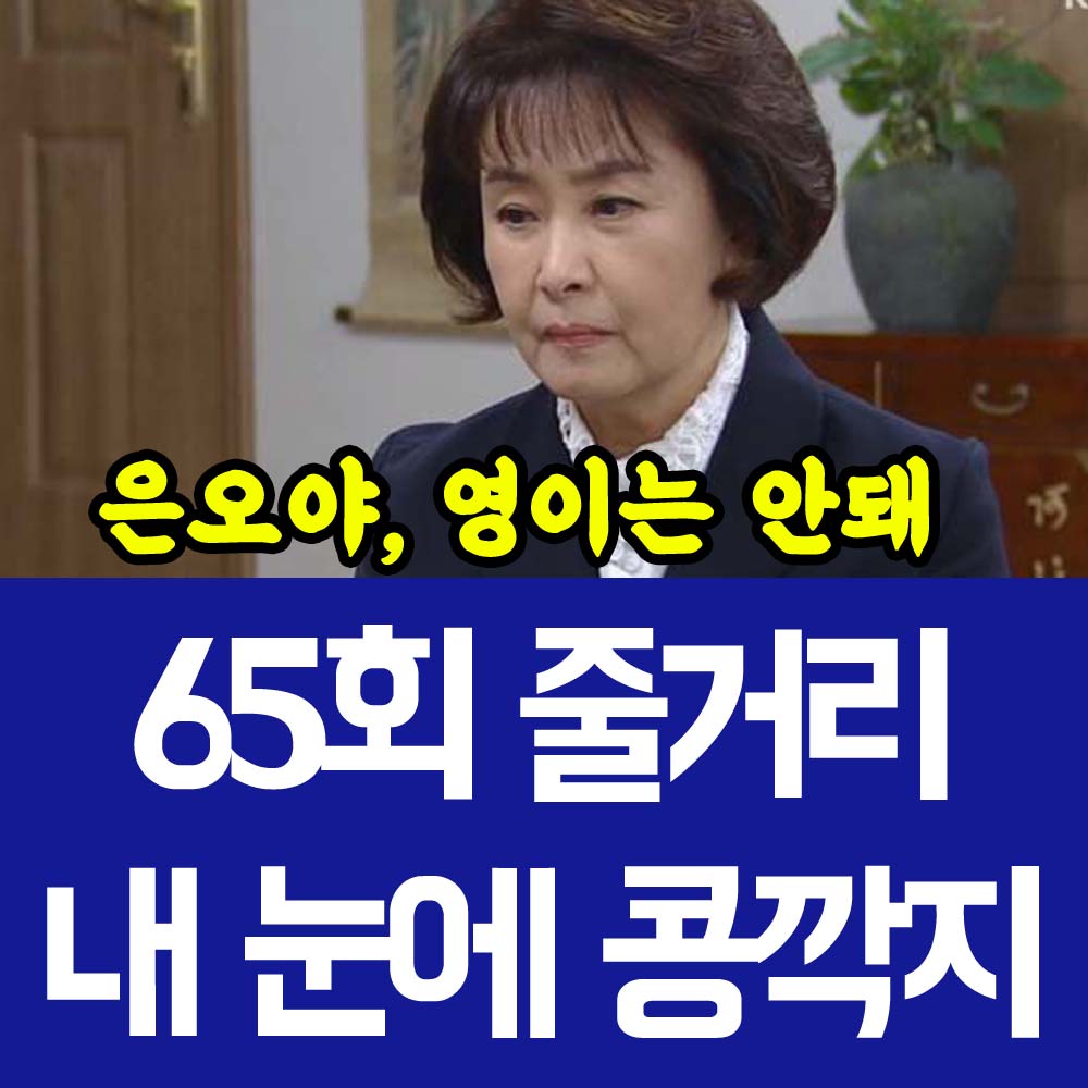 내 눈에 콩깍지 65회