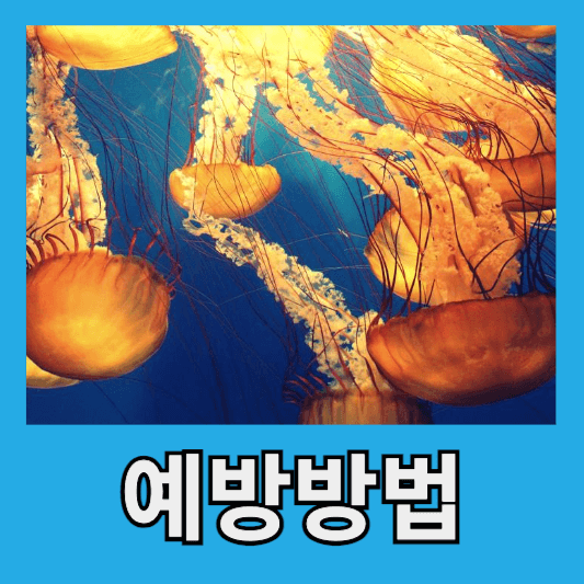 예방방법