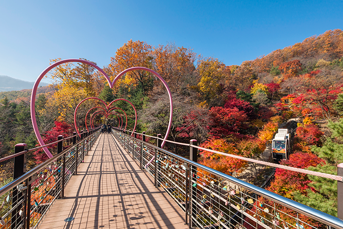 화담숲 예약 &amp; 방문 가이드 ❘ 봄 벚꽃부터 가을 단풍까지 완벽 정리