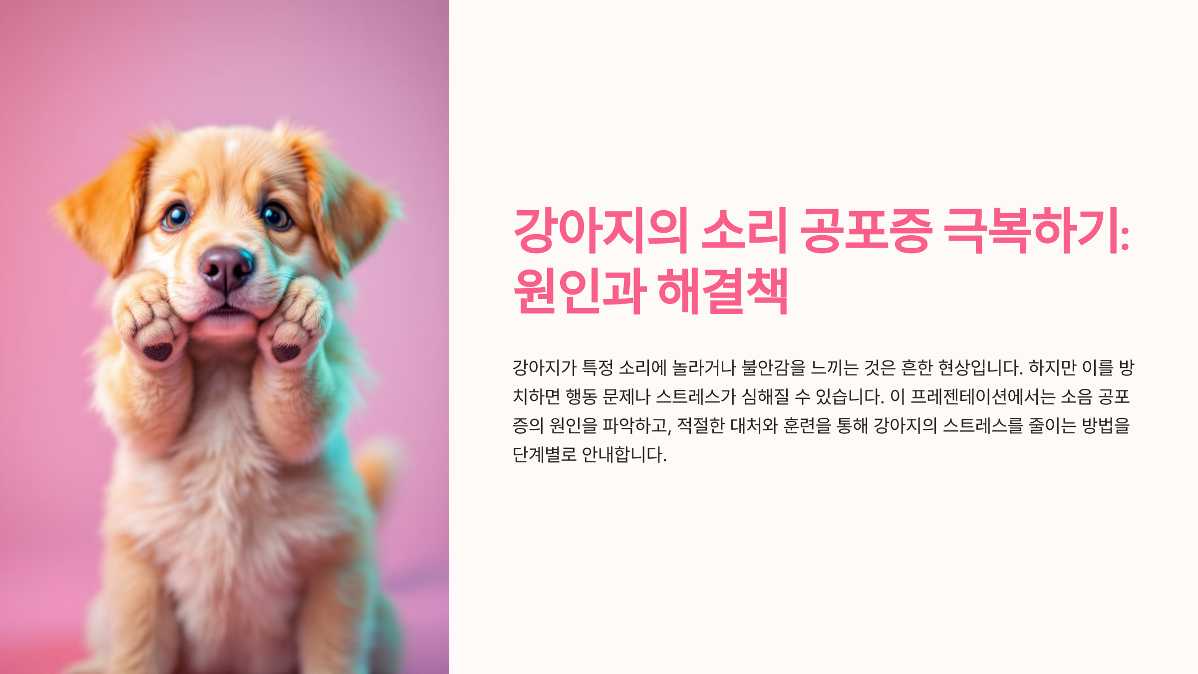 강아지가 특정 소리에 놀랄 때 대처법: 원인 분석과 효과적인 해결 방법