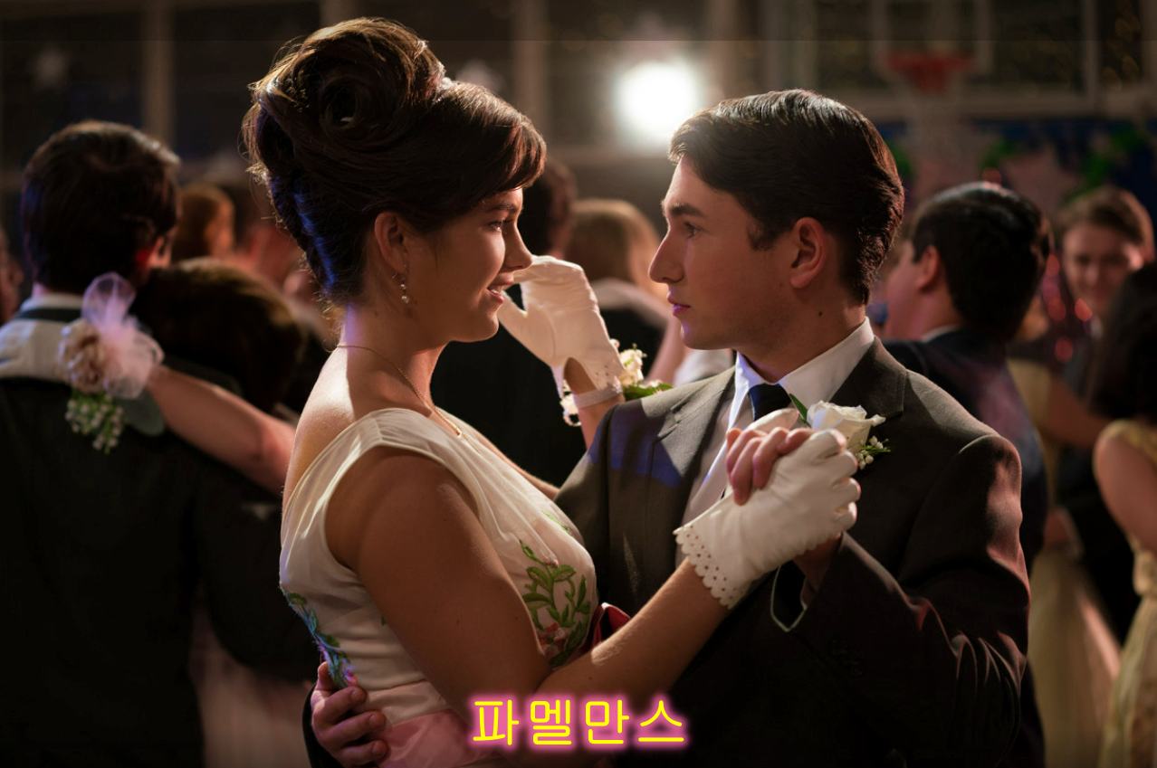 파멜만스 스틸컷