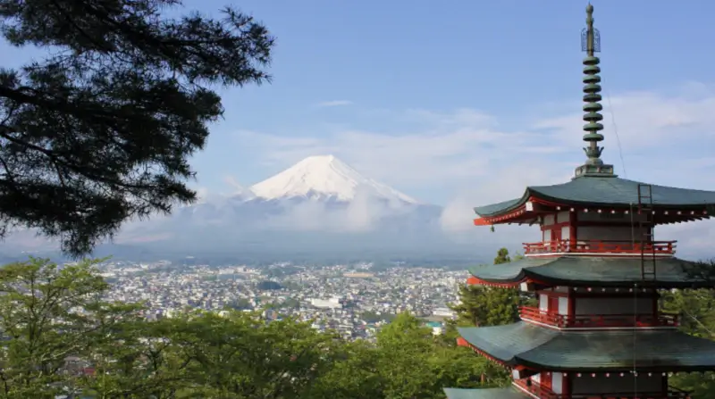 나라별-반입금지음식-일본