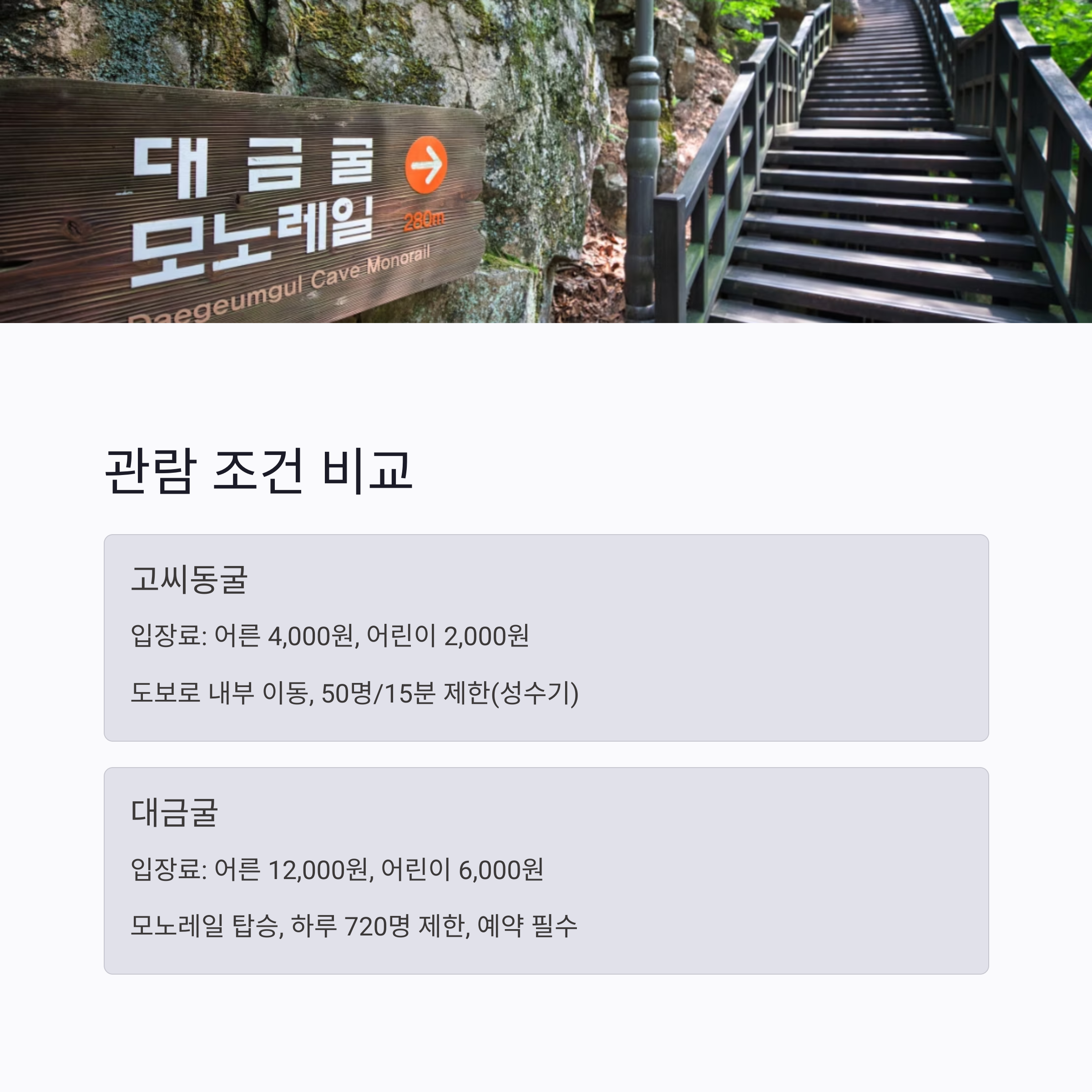 관람 조건 비교