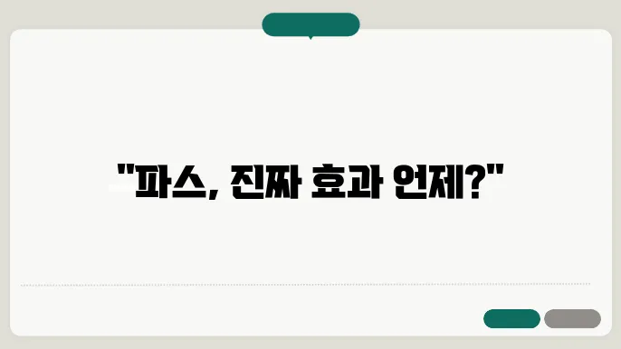 파스의 효능 정리